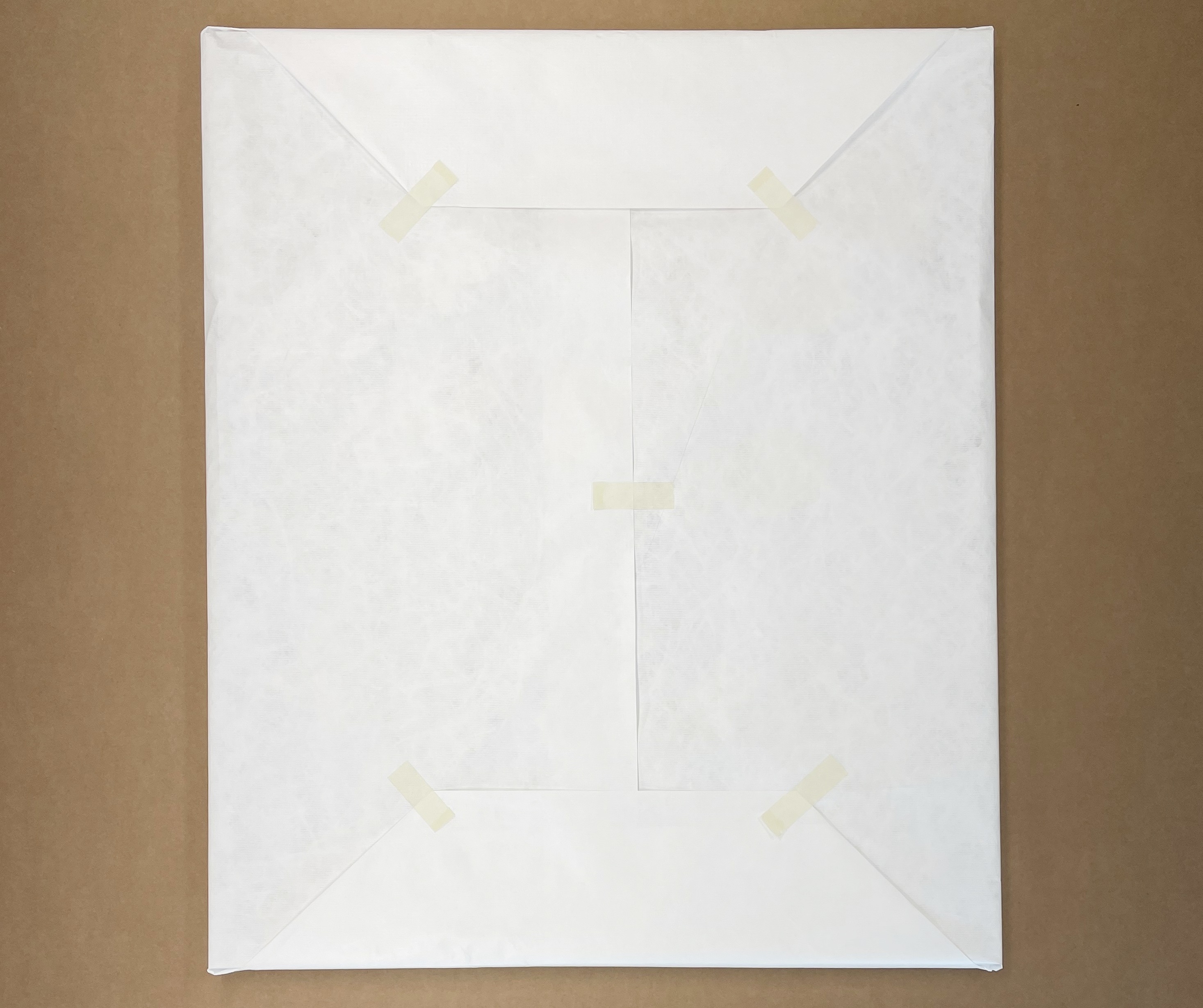 Tyvek & Bubble wrap packing