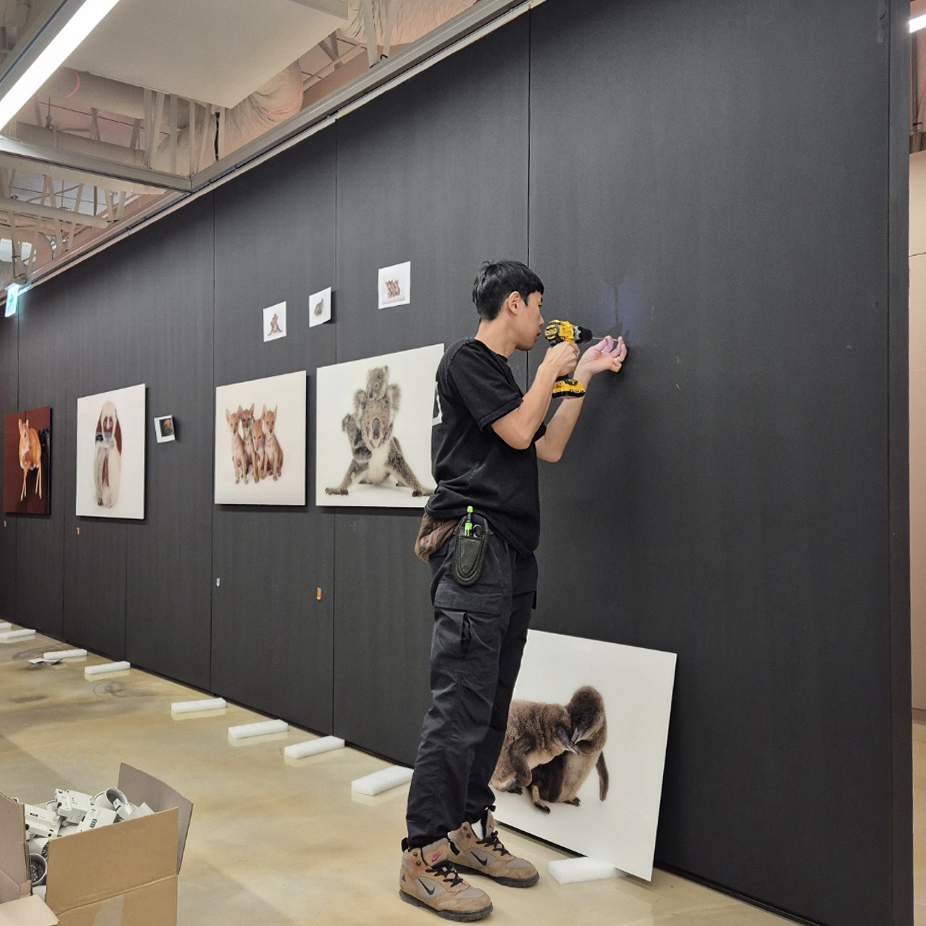 MUSEUM209 전시 설치 _ 내셔널지오그래픽 사진전